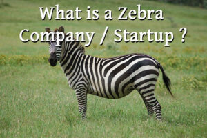 zebra company startup